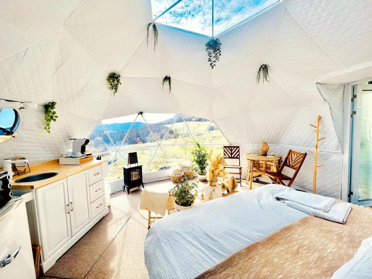 Maiersdorf Glamping Hohe Wand - Zelt Mit Sternenfenster Und Whirlpool酒店 外观 照片