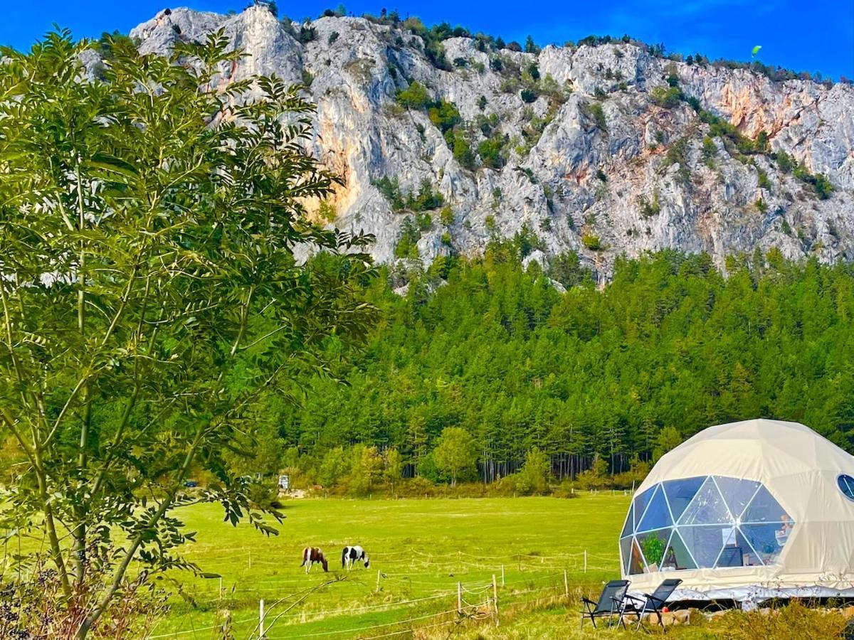 Maiersdorf Glamping Hohe Wand - Zelt Mit Sternenfenster Und Whirlpool酒店 外观 照片